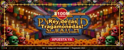 Live Casino Experience